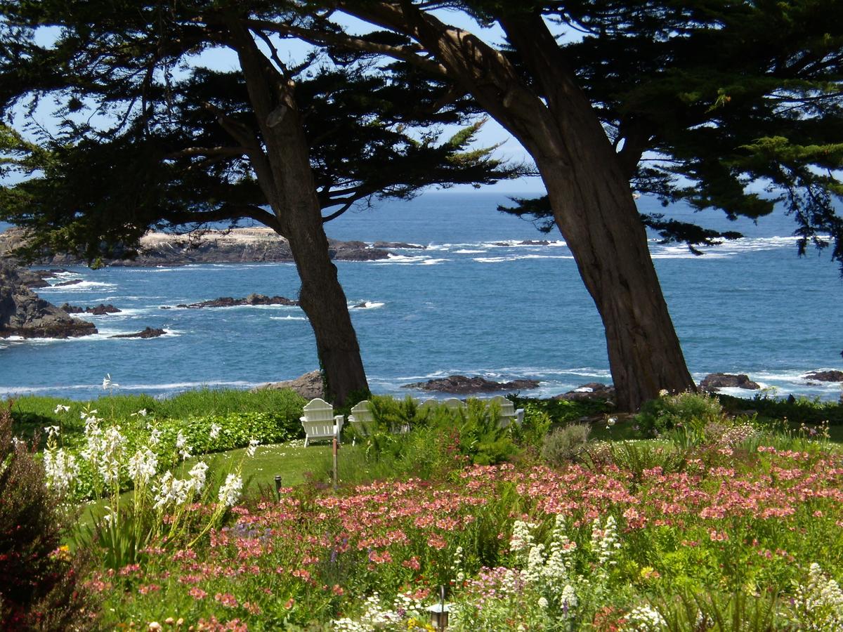 Agate Cove Inn - thumb 10