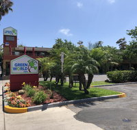 Green World Inn - Accommodation Rooms