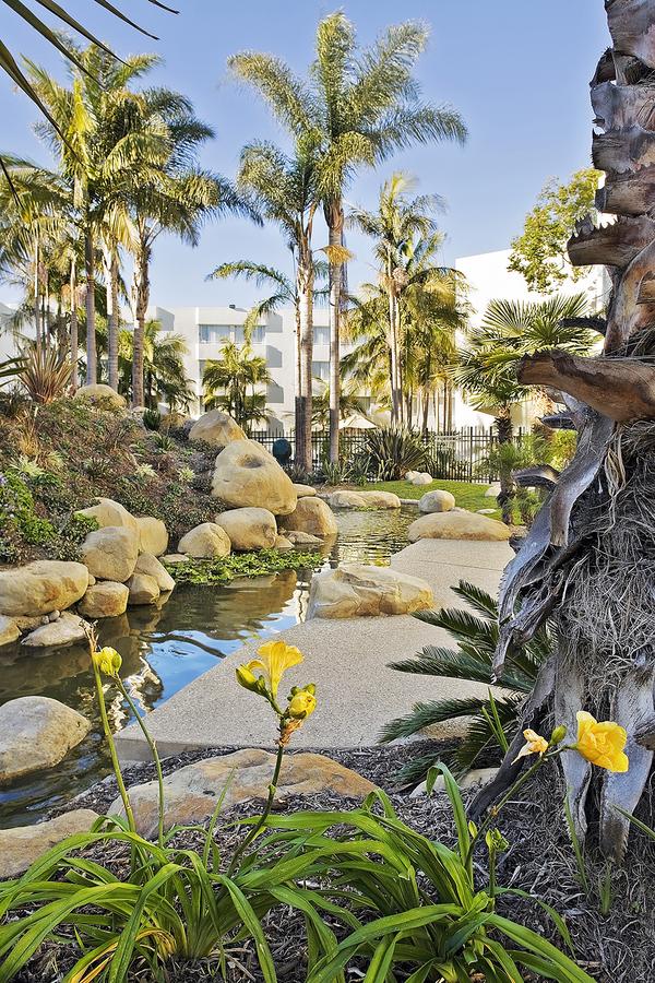 Ventura Beach Marriott - thumb 4