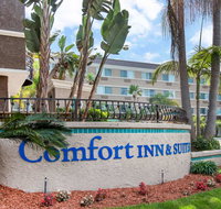 Comfort Inn  Suites San Diego Zoo SeaWorld Area - Accommodation Rooms