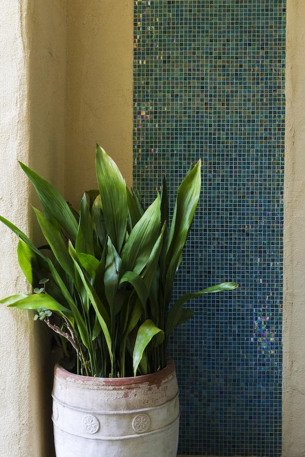 Sonoma Creek Inn - thumb 19