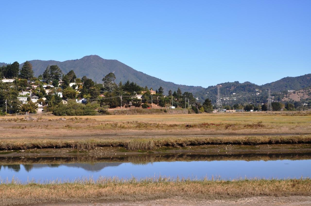 Holiday Inn Express Mill Valley - Sausalito Area - thumb 26