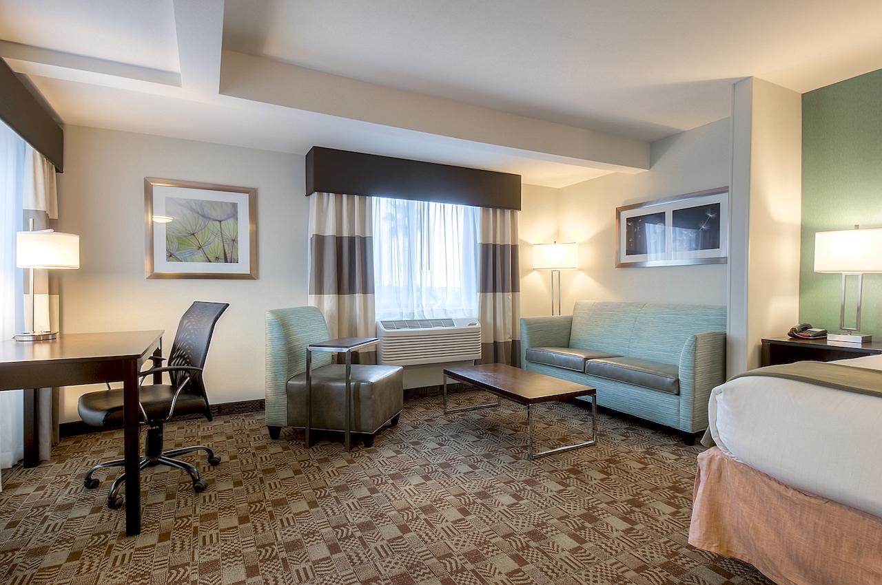 Holiday Inn Express Hotel & Suites Carlsbad Beach - thumb 29