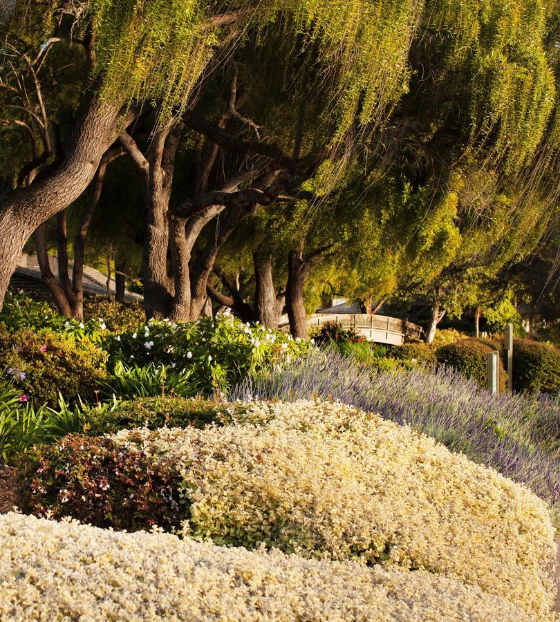 Quail Lodge & Golf Club - thumb 12