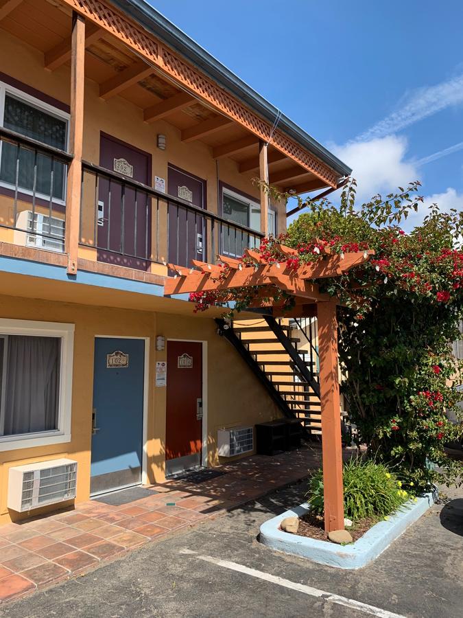 Sandyland Reef Inn - thumb 2
