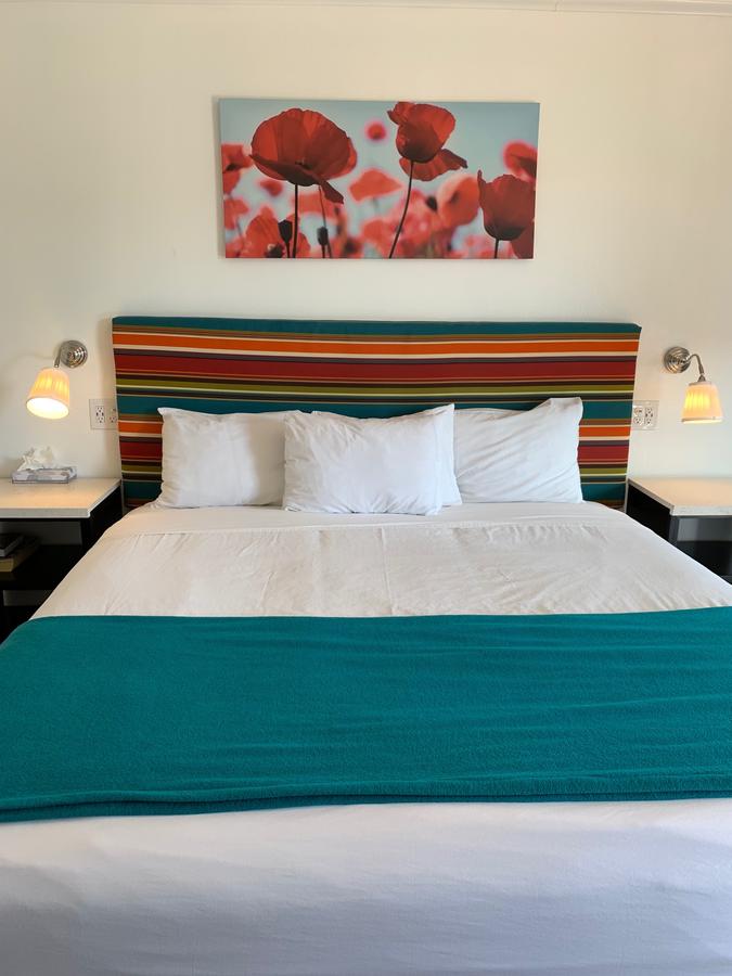 Sandyland Reef Inn - thumb 20