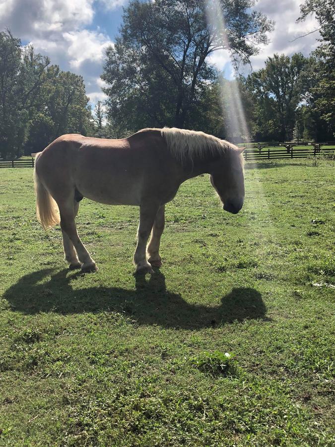 Coulter Farmstead - thumb 8