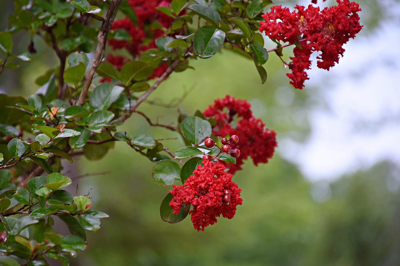 Coulter Farmstead - thumb 4