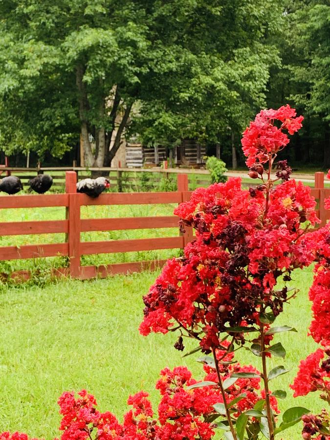 Coulter Farmstead - thumb 17