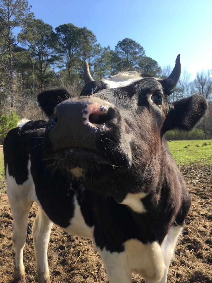 Coulter Farmstead - thumb 2