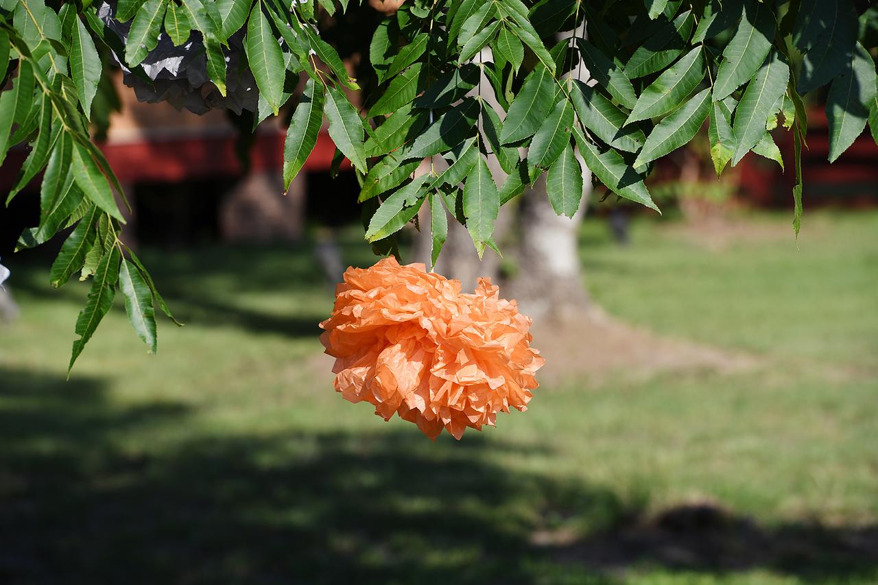 Coulter Farmstead - thumb 15