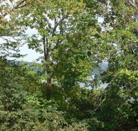 North Shore Resort on Bull Shoals Lake - Accommodation Rooms