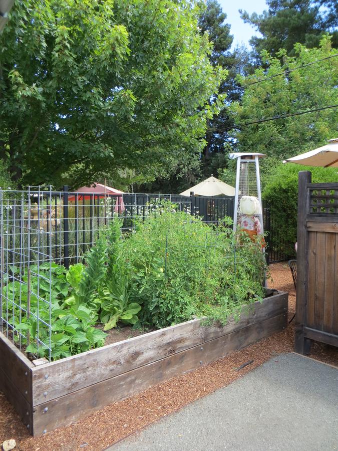 Sonoma's Best Guest Cottages - thumb 8