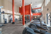 Amazing Apartments near the grove Accommodation Rooms