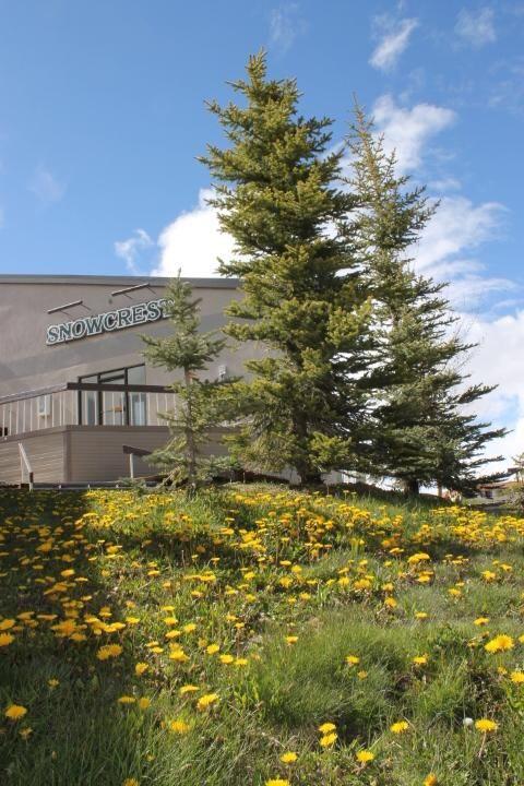 Snowcrest 22 Rustic Modern Retreat - thumb 36