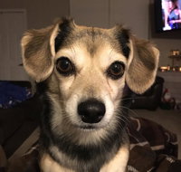 Sinawav Trail Lodge - Accommodation Rooms