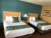 Ut Brooklyn Accommodation Rooms