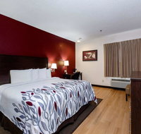 Red Roof Inn  Suites Dover Downtown - Accommodation Rooms