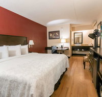 Red Roof Inn PLUS Wilmington - Newark - Accommodation Rooms