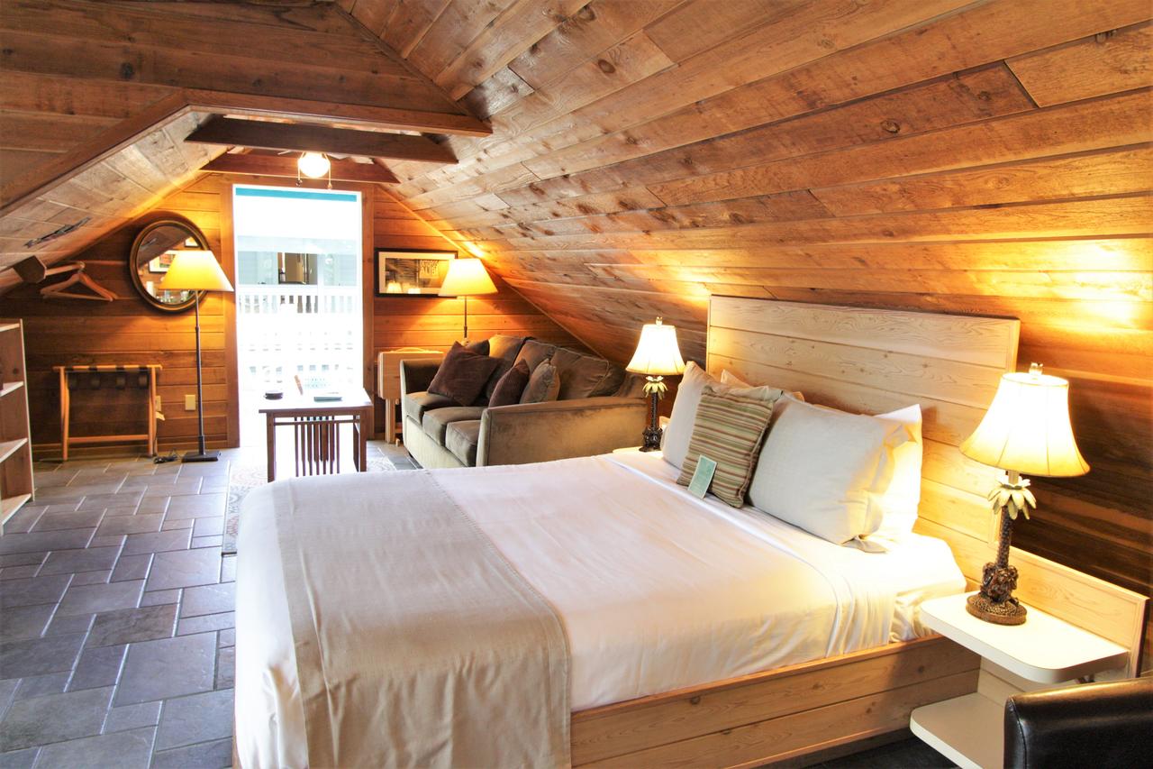 Eden House - thumb 3