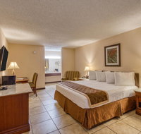 Palms Garden Inn - Accommodation Rooms
