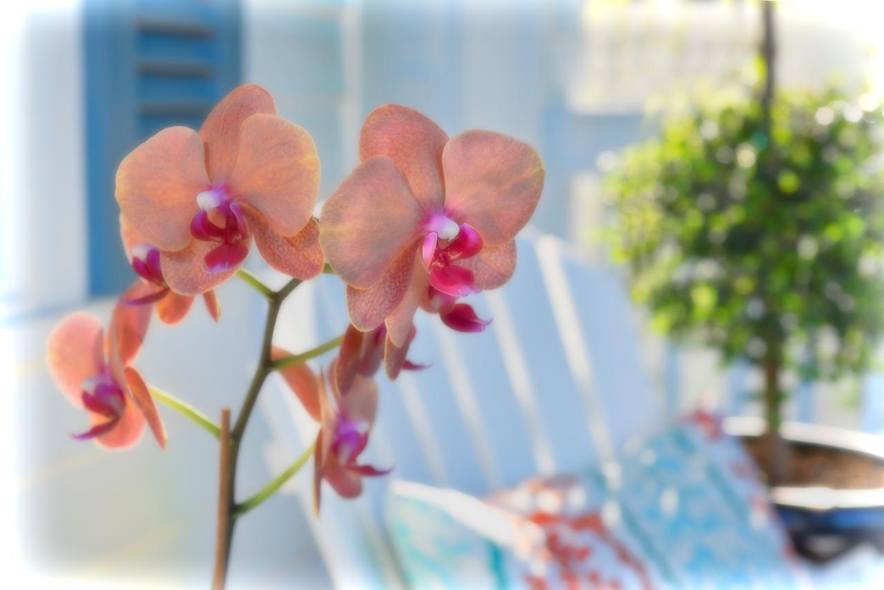 The Gardens Hotel - thumb 27