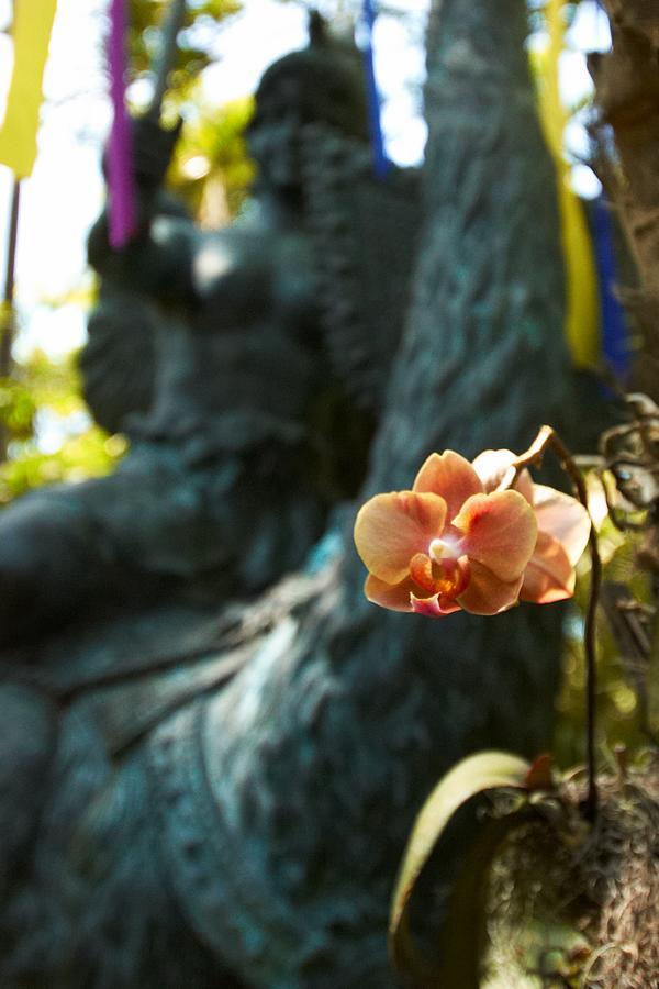 The Gardens Hotel - thumb 38