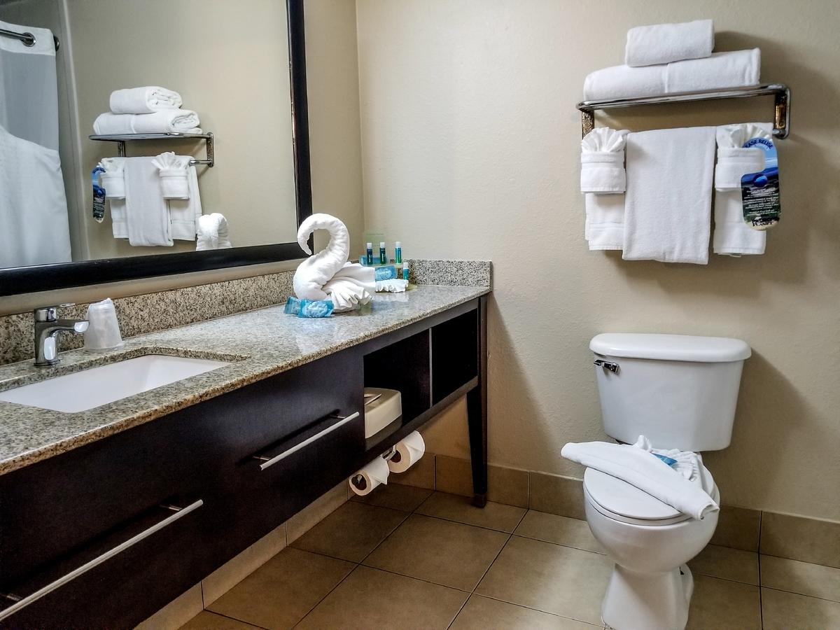 Holiday Inn Express Hotel & Suites Orange City - thumb 9