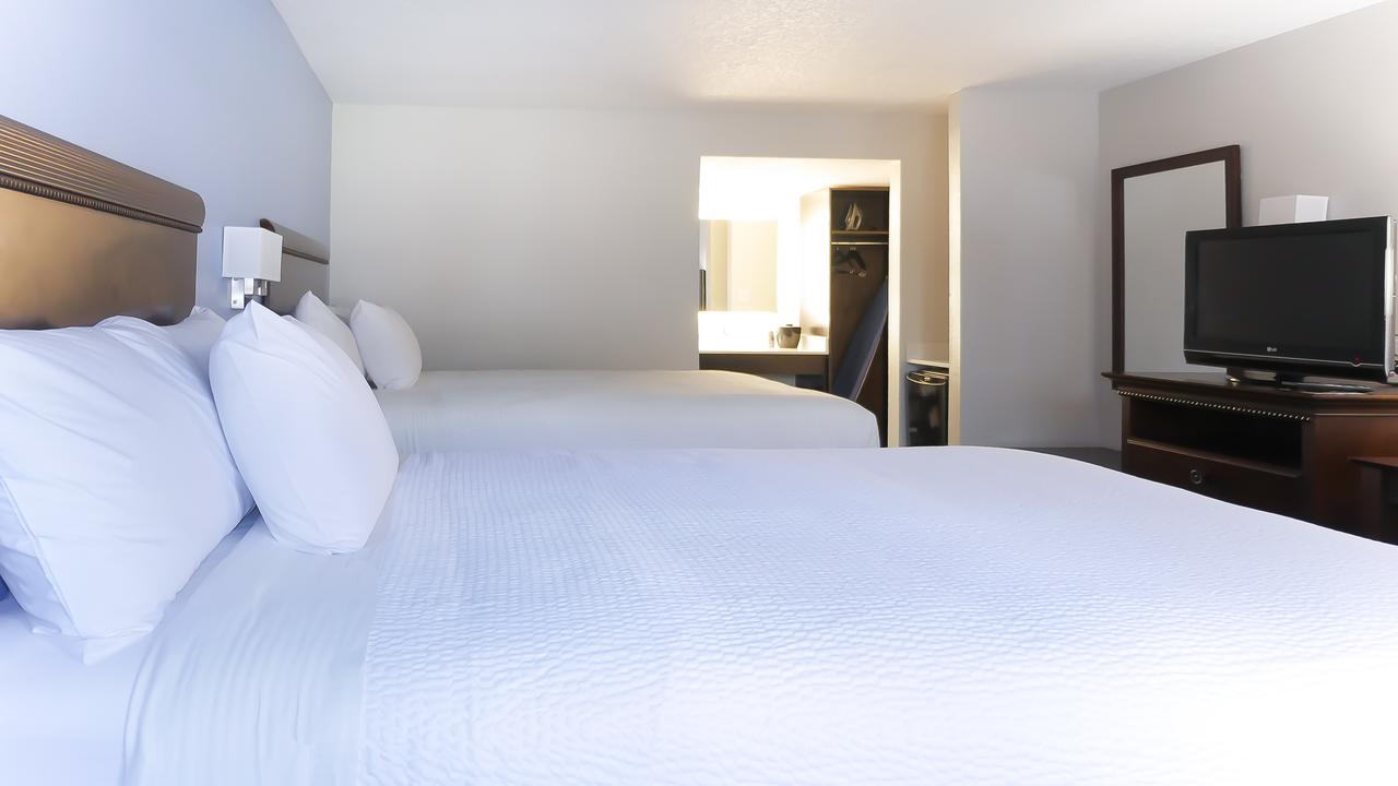 Hotel South Tampa & Suites - thumb 16