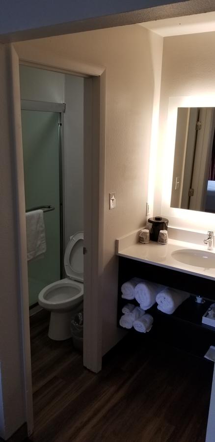 Hotel South Tampa & Suites - thumb 17