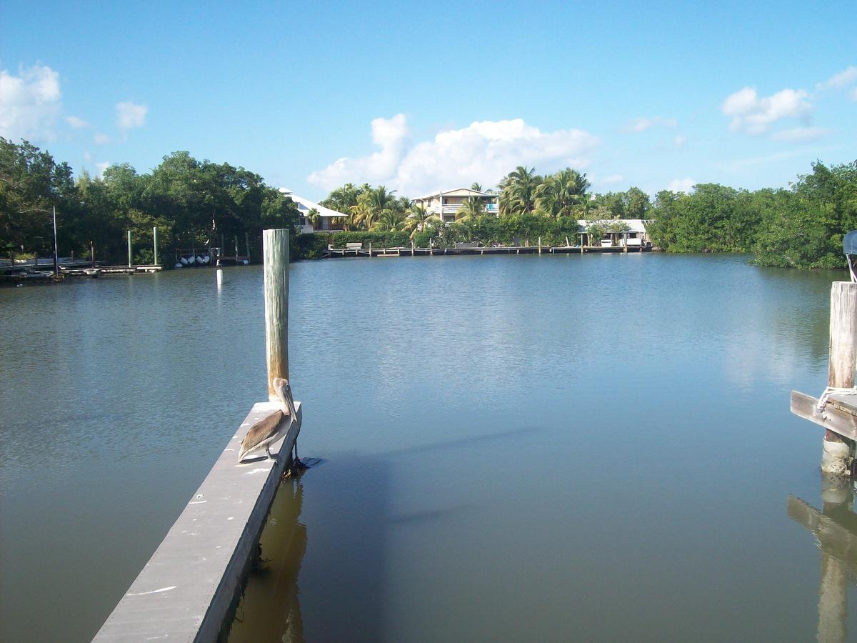 Kingsail Resort - thumb 31