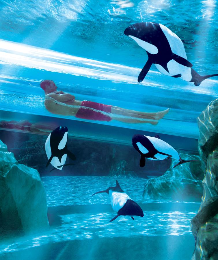Residence Inn By Marriott Orlando At SeaWorld - thumb 24