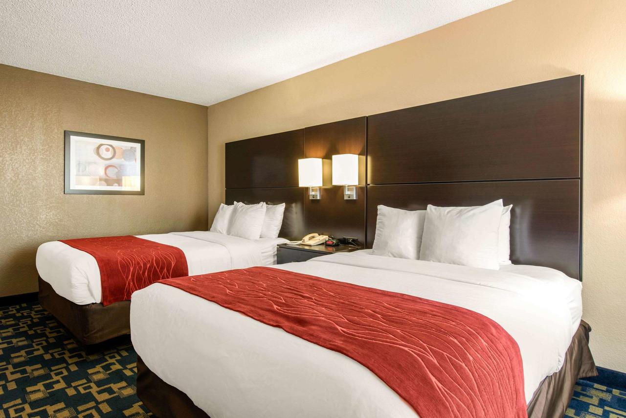 Comfort Inn & Suites Near Universal Orlando Resort - thumb 13