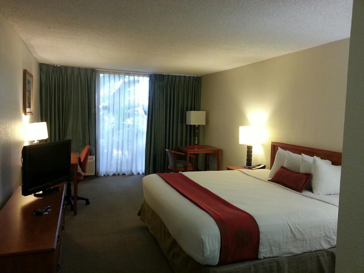 Ramada By Wyndham West Palm Beach Airport - thumb 18