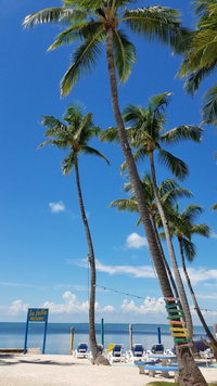 Altamonte Spg Fl Accommodation Rooms