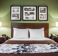 Sleep Inn - Accommodation Rooms