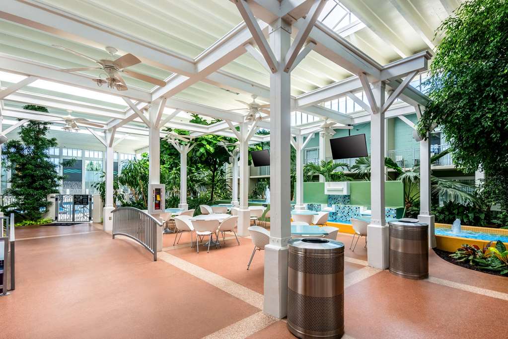 Oasis Hotel & Conv Center, Ascend Hotel - thumb 10