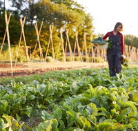 Miraval Austin - Accommodation Rooms