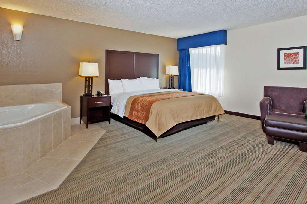 Comfort Inn Blairsville - thumb 15