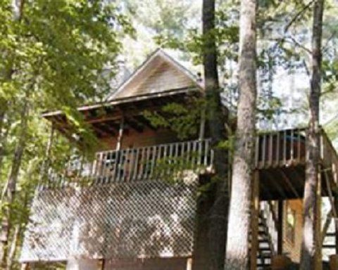 Paradise Cabins Resort & Spa - thumb 6