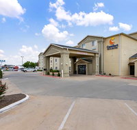 Comfort Inn  Suites - Accommodation Rooms