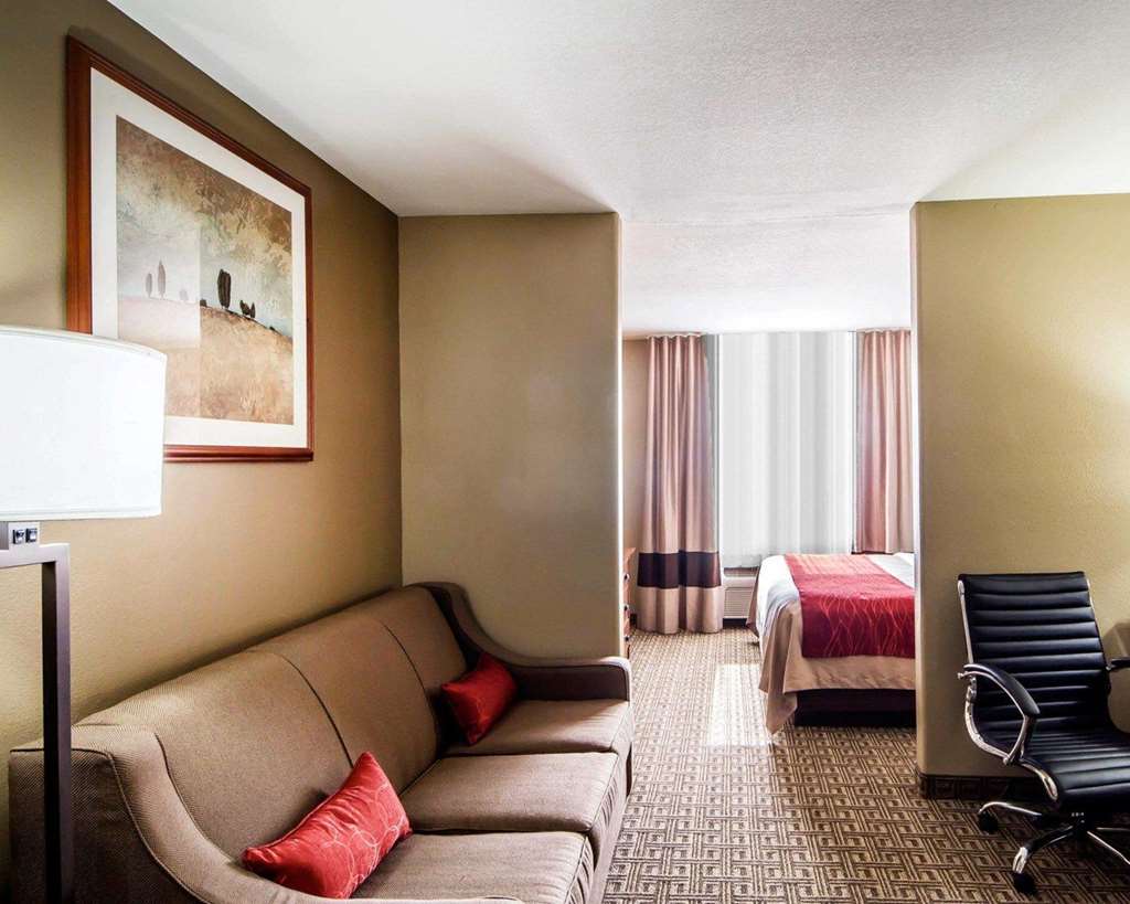 Comfort Inn & Suites - thumb 13