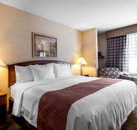 Quality Inn Hotel - Accommodation Rooms