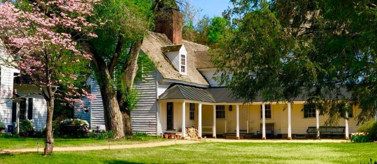 Hollymead House & Guest House - thumb 0