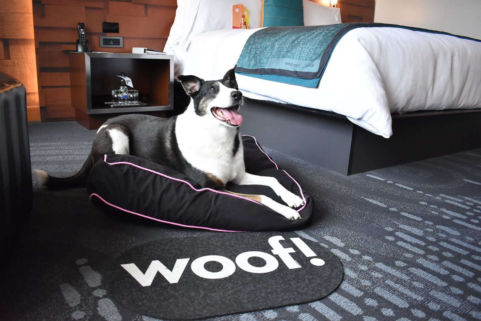 W Seattle - thumb 17