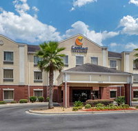 Comfort Inn and suites Statesboro - Accommodation Rooms