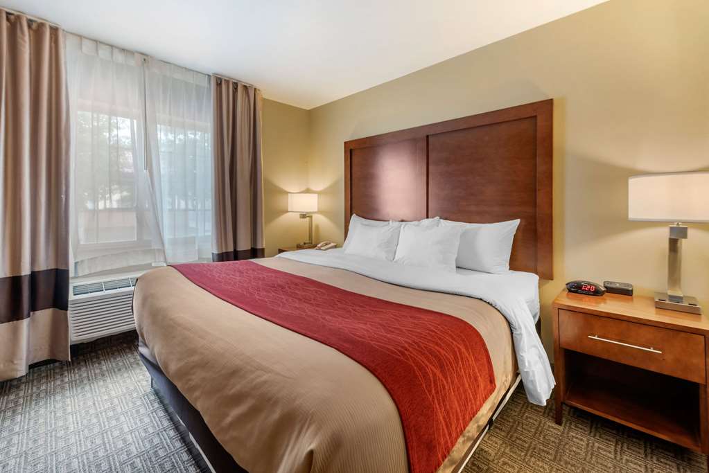 Comfort Inn & Suites - thumb 12