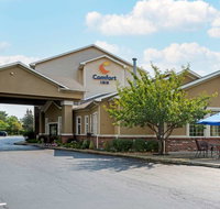 Comfort Inn University - Accommodation Rooms