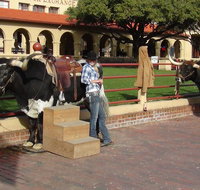 6-Hour Guided Best of Fort Worth Historical Tour - Accommodation Rooms