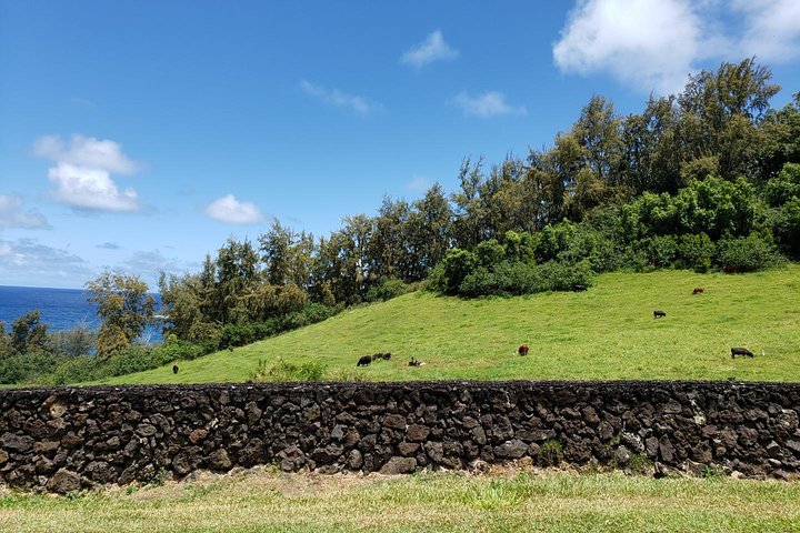 Road To Hana Day Trip